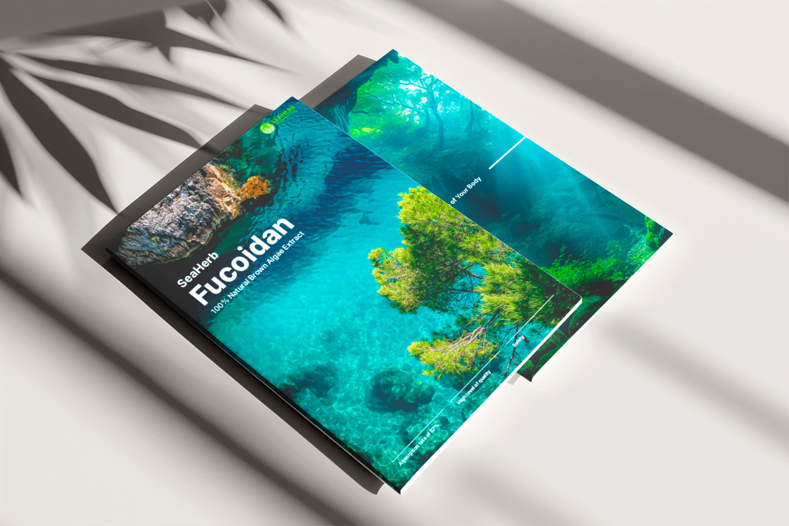 씨허브 카탈로그